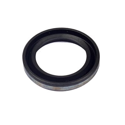 Oil Seal (Magneto Side) for Briggs & Stratton LO206/Animal