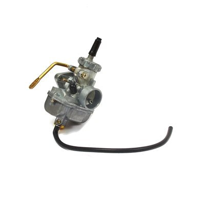 Carburetor Assembly for Briggs & Stratton LO206/Animal