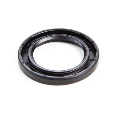 Oil Seal (PTO Side) for Briggs & Stratton LO206/Animal