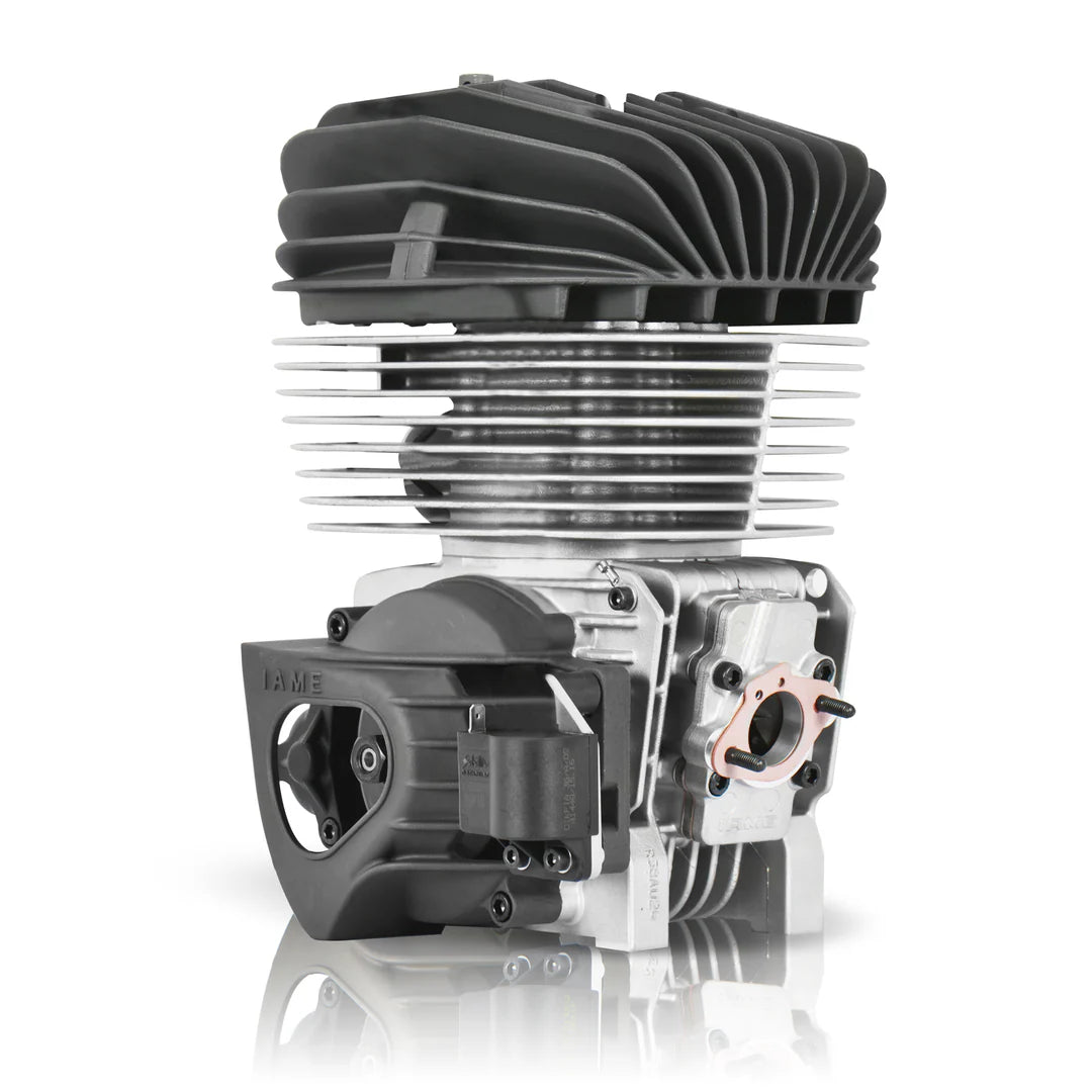 Blue Printed IAME KA100 Engine & Carb Only